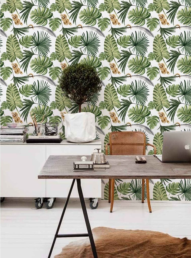 Coloray Fototapete 104x70 cm Vlies-Fototapete - Monstera-Blattblätter