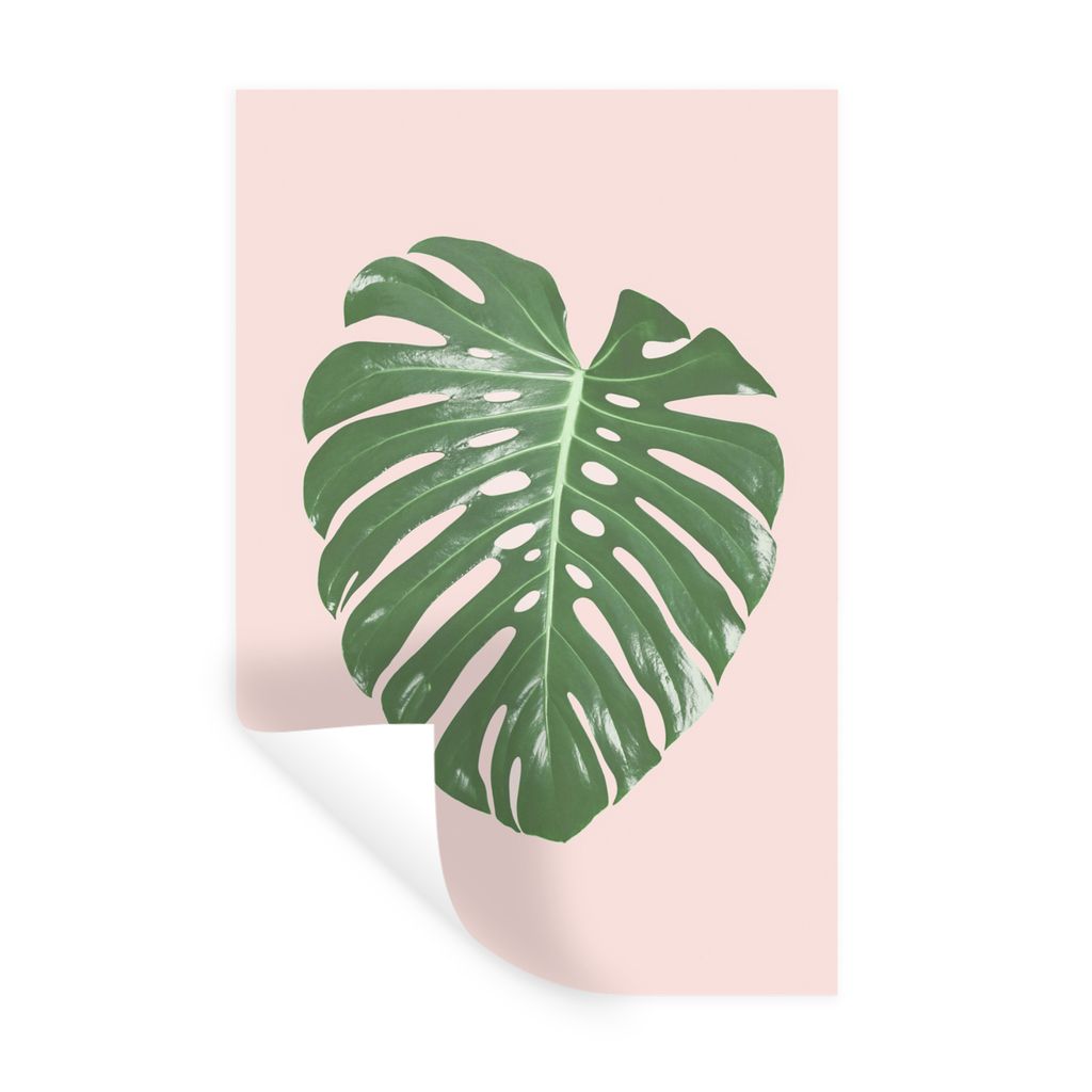 MuchoWow Wandtattoo Wandsticker Wandaufkleber Pflanze - Grün - Rosa - Natur - Blatt 60x90 cm Selbstklebend und Repositionierbar - Sticker - Deko...