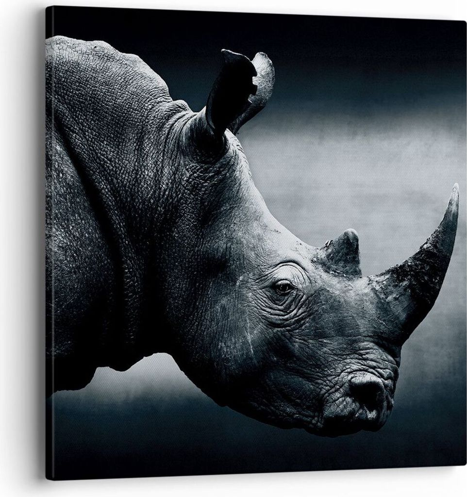 Bild auf Leinwand - Leinwandbild - Einteilig - Nashorn Schwarzweiß Porträt - 40x40cm - Wand Bild - Wanddeko - Wandbilder - Leinwanddruck - Bilder...