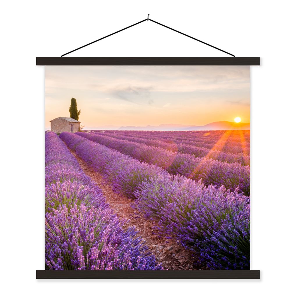 MuchoWow Textilposter Lavendel - Sonnenuntergang - Blumen - Lila 40x40 cm mit schwarzem Rahmen - Fotos