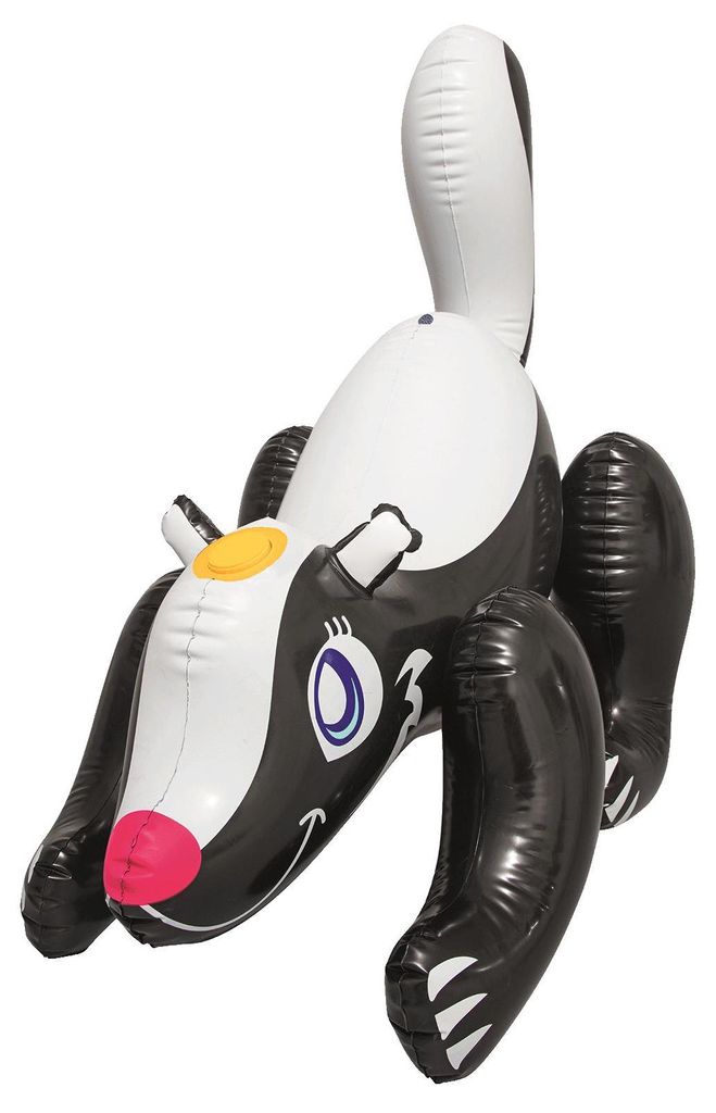 Jeu d'eau avec arroseur Skunk Image du produit 