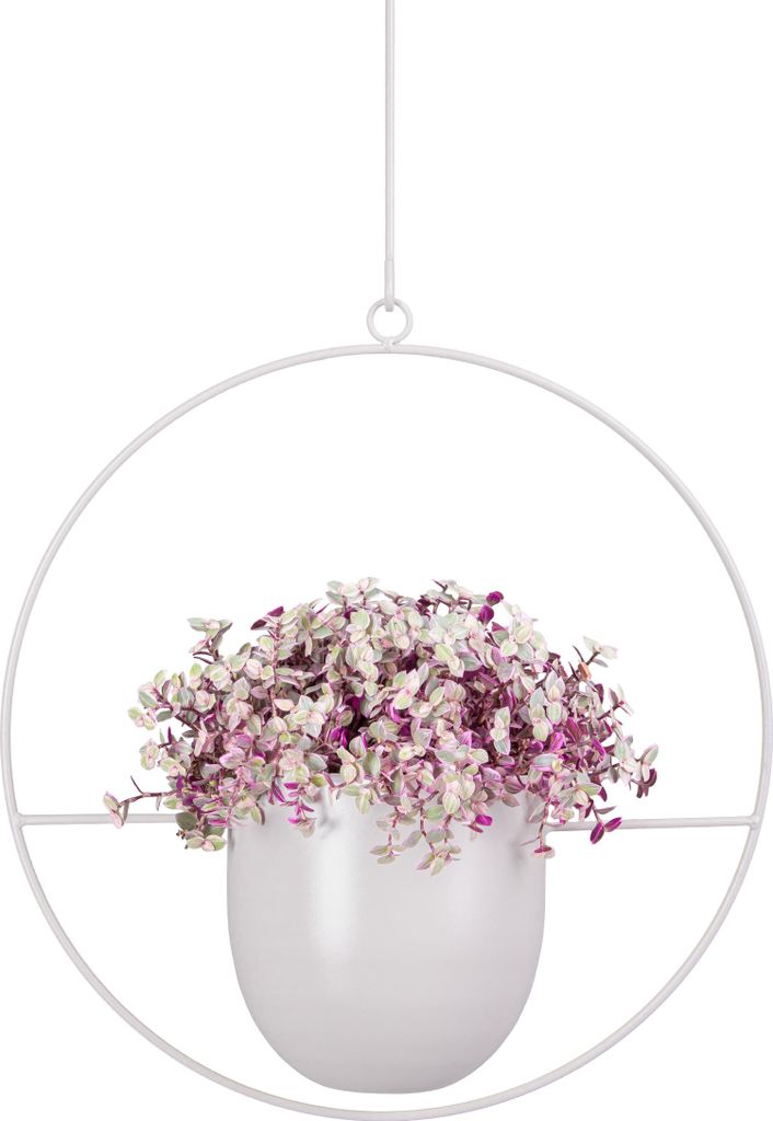 QUVIO Hängeblumentopf - Blumentopf für den Innenbereich - Blumentöpfe - Blumentopf für den Innenbereich - Hängende Blumentöpfe - Hängender B...