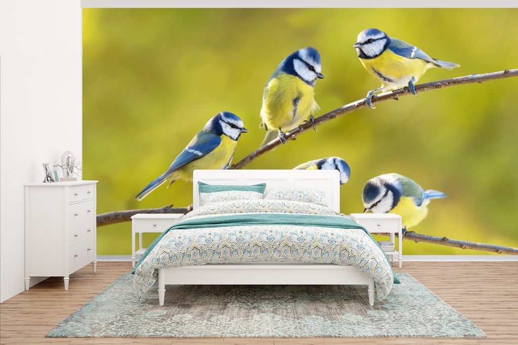 MuchoWow Fototapete für Wohnzimmer oder Schlafzimmer Wandtapete Vinyl Motivtapete Vogel - Blaumeise - Äste - Sonne - 430x240 cm - Gemustert