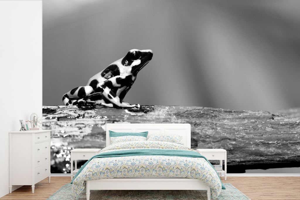 MuchoWow Fototapete für Wohnzimmer oder Schlafzimmer Wandtapete Vinyl Motivtapete Schwarzer und grüner Giftfrosch auf einem Zweig - schwarz und...