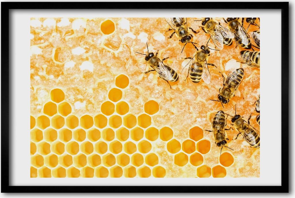Bild 60x40 MDF-Rahmen, Wandkunst Arbeitsbienen