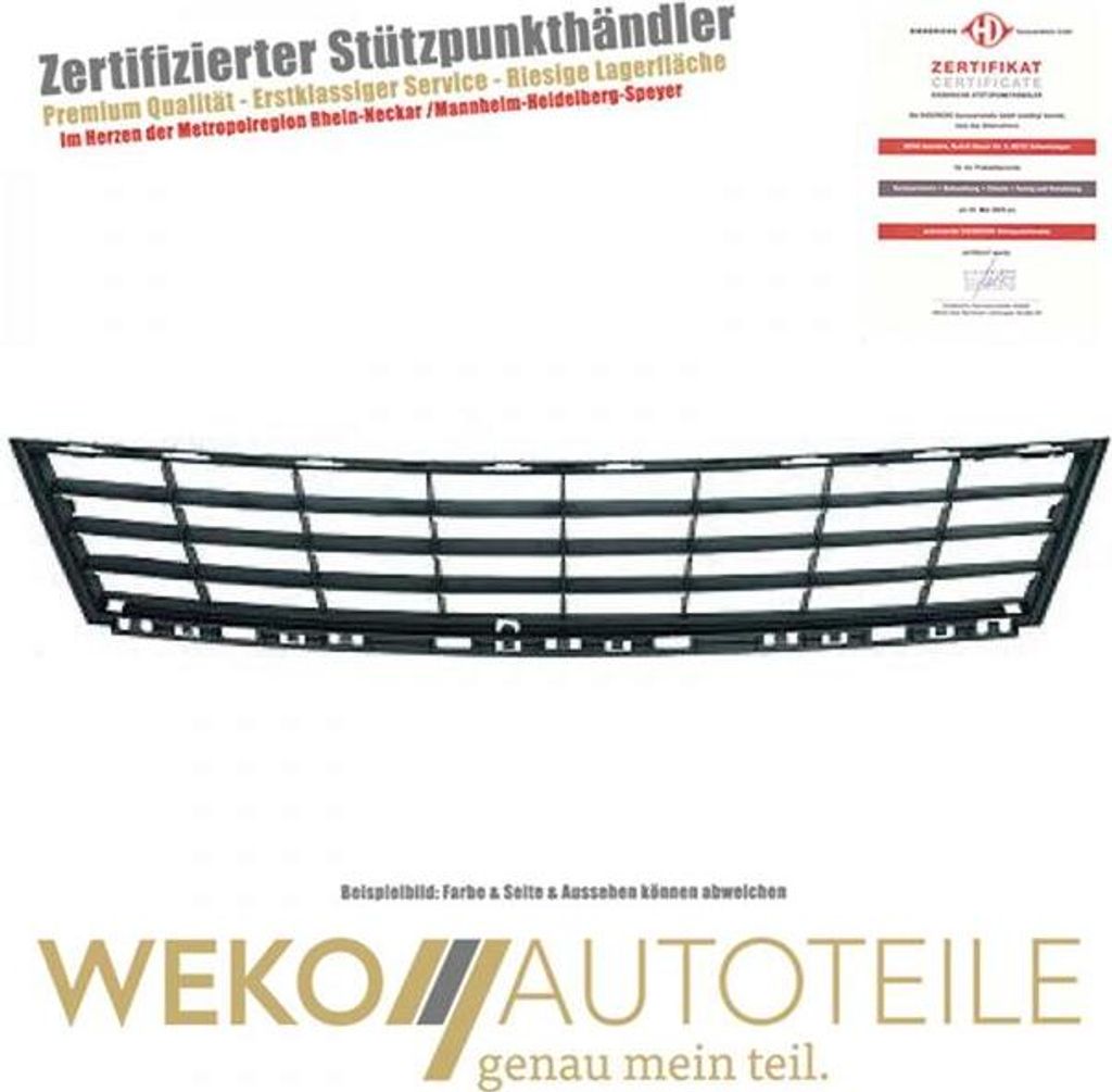 Lüftungsgitter Stoßstange vorne DIEDERICHS 4415145 für RENAULT