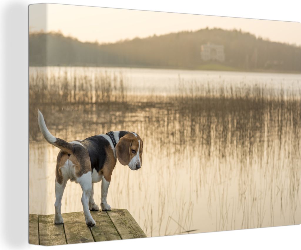 OneMillionCanvasses - Leinwandbilder - 140x90 cm, Beagle an einem See, Wandbilder Kunstdruck Wanddekoration - Foto auf Leinwand - Gemälde auf Ho...