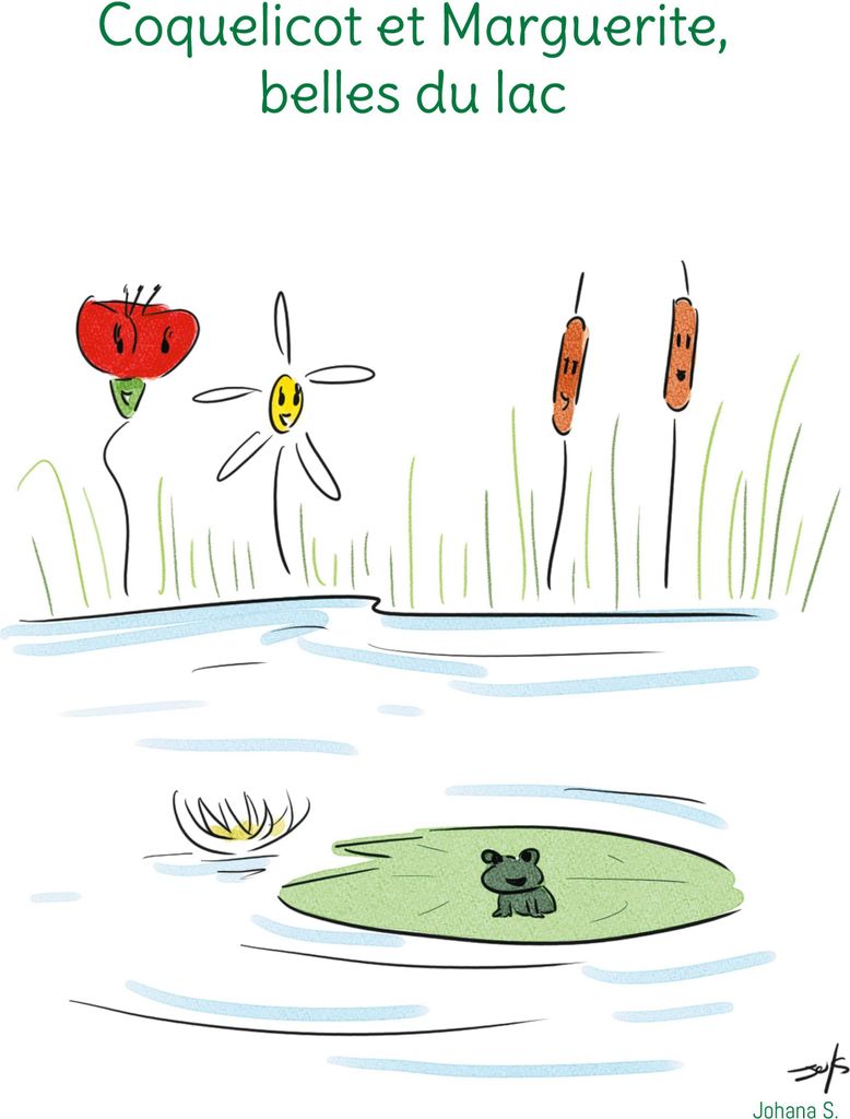 Coquelicot et Marguerite, belles du lac