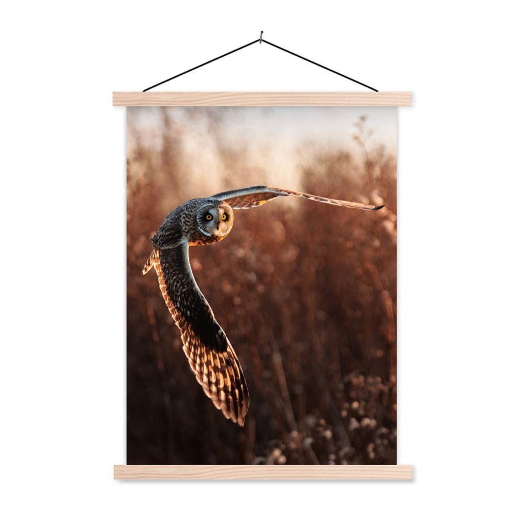 MuchoWow Textilposter Vogel - Eule - Sonnenuntergang - Natur 40x53 cm mit holzfarbenen Rahmen - Schlafzimmer