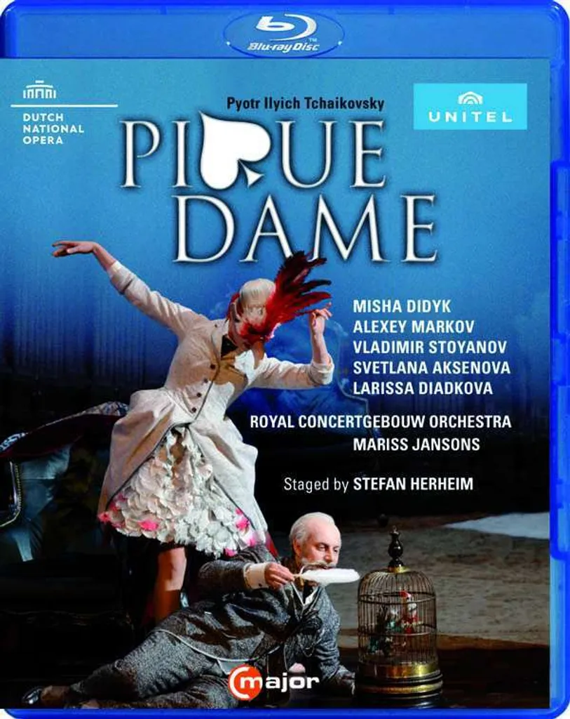 Pique Dame Coffret Jeu de Cartes Idéal pour Soirées Entre Amis et Vacances