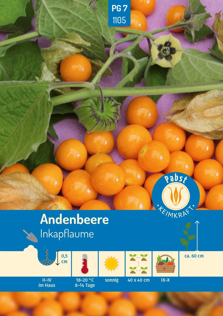 Pabst Keimkraft - Andenbeere Inkapflaume Samen - 171105 Produktbild 