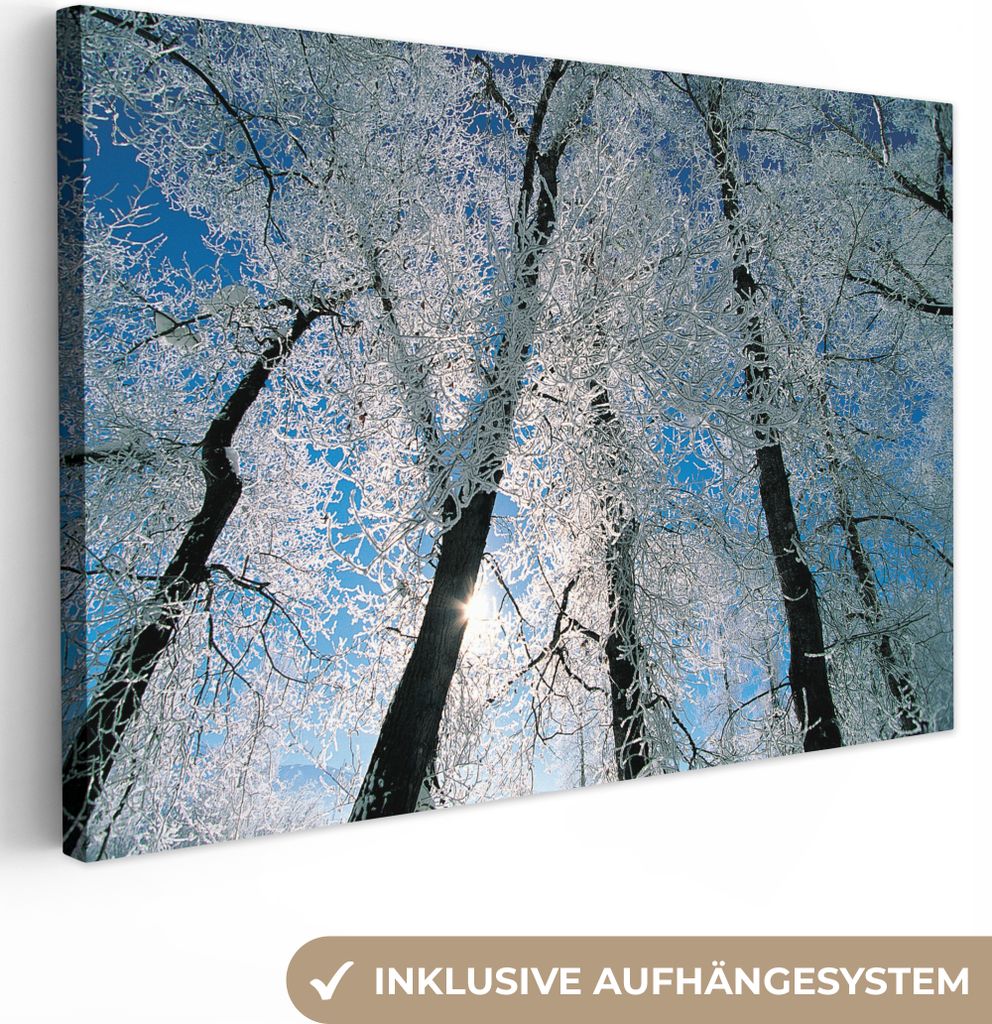 OneMillionCanvasses - Leinwandbilder - 140x90 cm, Von Frost bedeckte Bäume, Wandbilder Kunstdruck Wanddekoration - Foto auf Leinwand - Gemälde ...