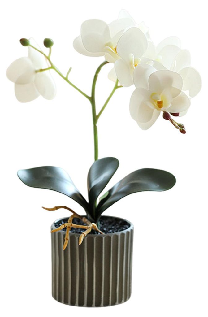 Künstliche Topfpflanze, künstliche Orchideen-Bonsai, künstliche Phalaenopsis-Blumen für den Schreibtisch zu Hause, Esszimmer oder Büro