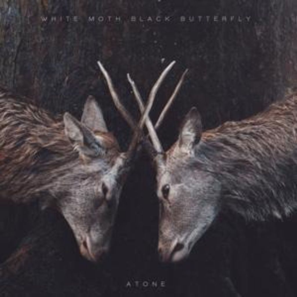 White Moth Black Butterfly-Atone