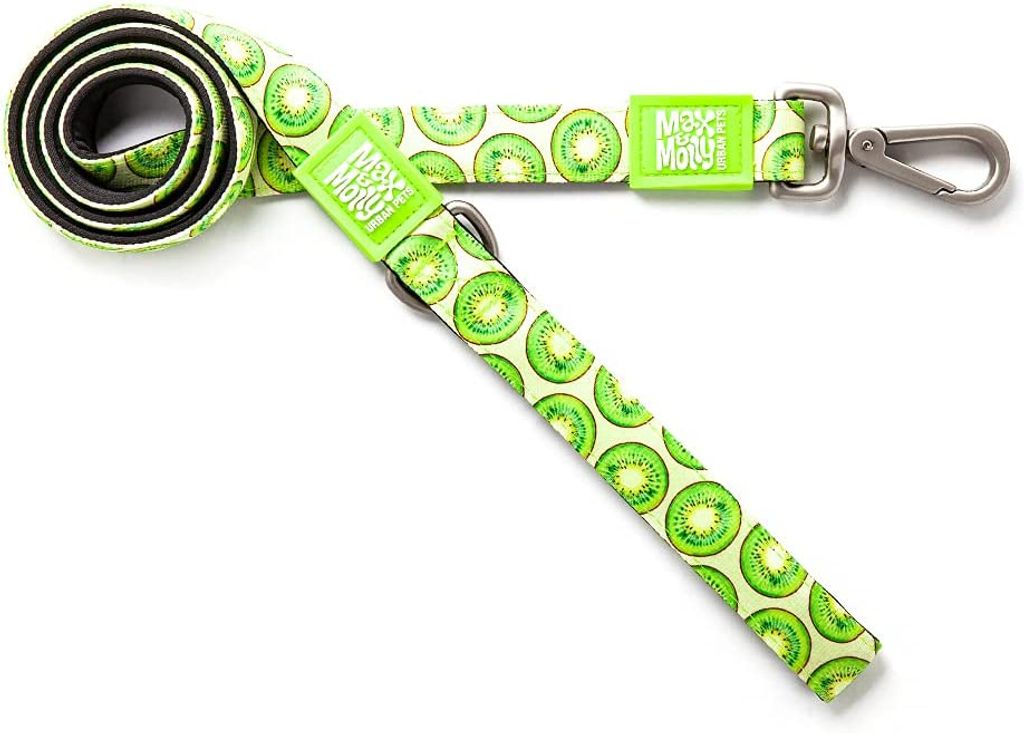 Max & Molly Klassische Hundeleine, 1,2 m, Neopren, gepolsterte Leine, wasserdicht und maschinenwaschbar, für kleine Hunde, Kiwi, XS