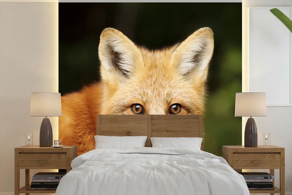 MuchoWow Fototapete für Wohnzimmer oder Schlafzimmer Wandtapete Vinyl Motivtapete Fuchs - Welpe - Porträt - 220x220 cm - Tapeten