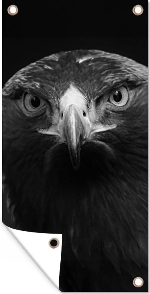 MuchoWow 40x80 cm Outdoor-Poster Gartendeko Sichtschutz Garten Poster für den Garten Bussard - Vogel - Tiere - Schwarz - Weiß