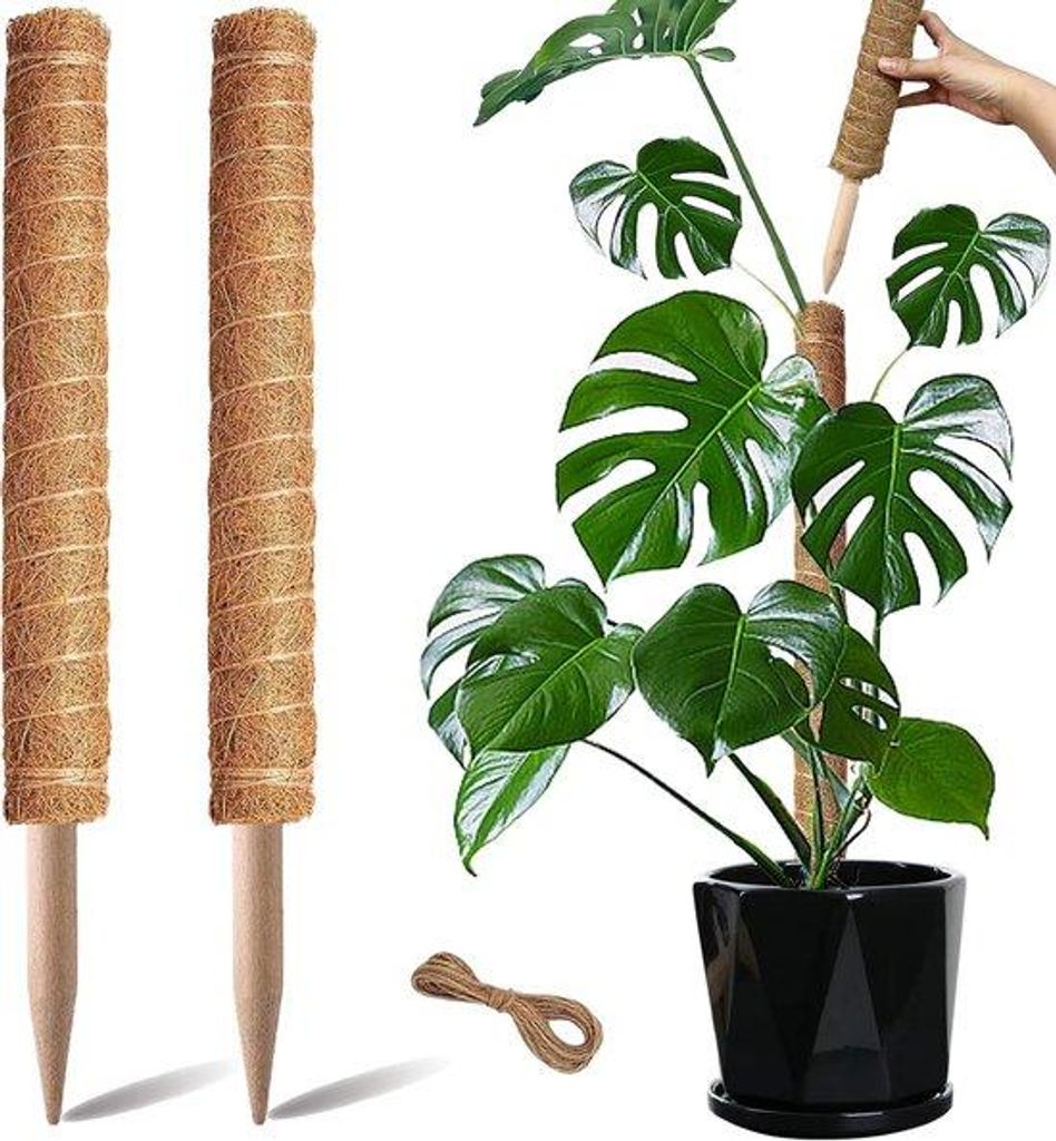 Pflanzstangen - 2 Stücke - 50cm - für Monstera, Pothos, Geldbaum - aus Kunststoff