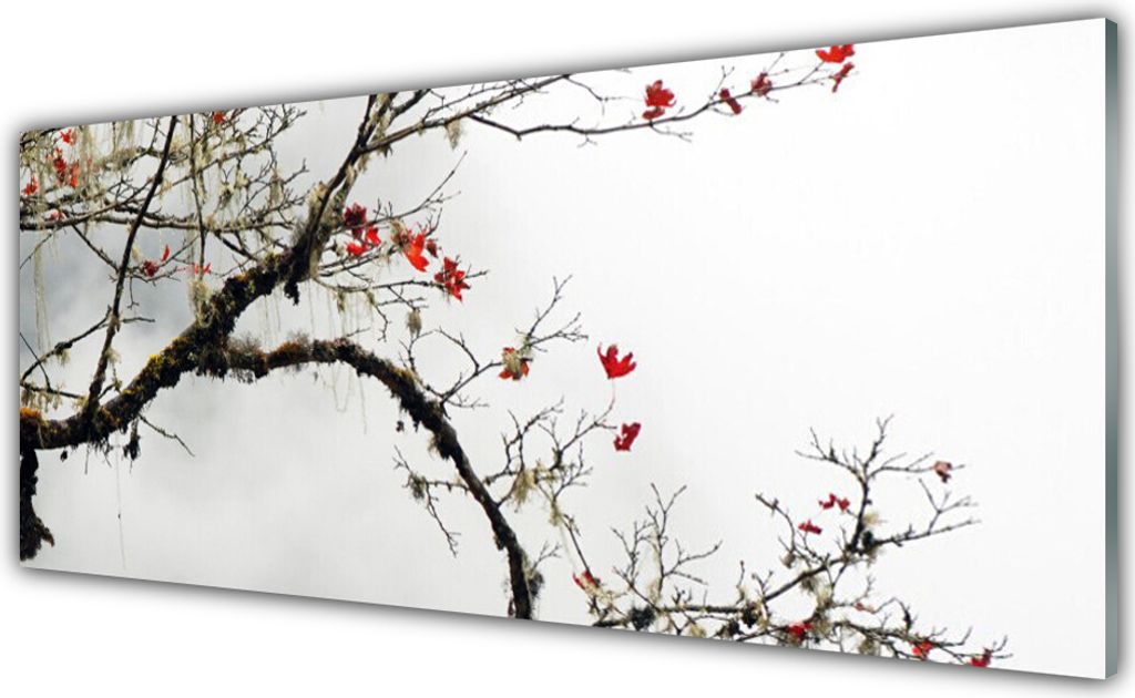 Glasbilder 125x50 Wandbild Druck auf Glas Zweig Natur