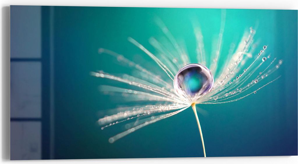 DEQORI Glasbild Echtglas 60x30 cm 'Inszenierte Wasserperle' Wandbild Bild modern Deko