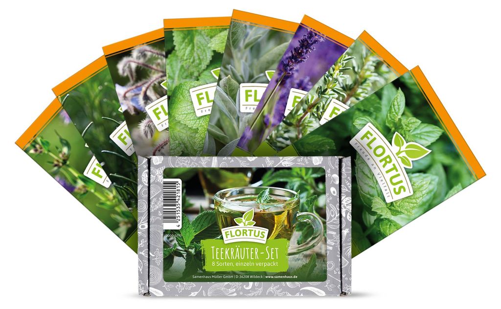 Teekräuter-Set (8 Sorten) | Kräutersamen Sets von FLORTUS Produktbild 
