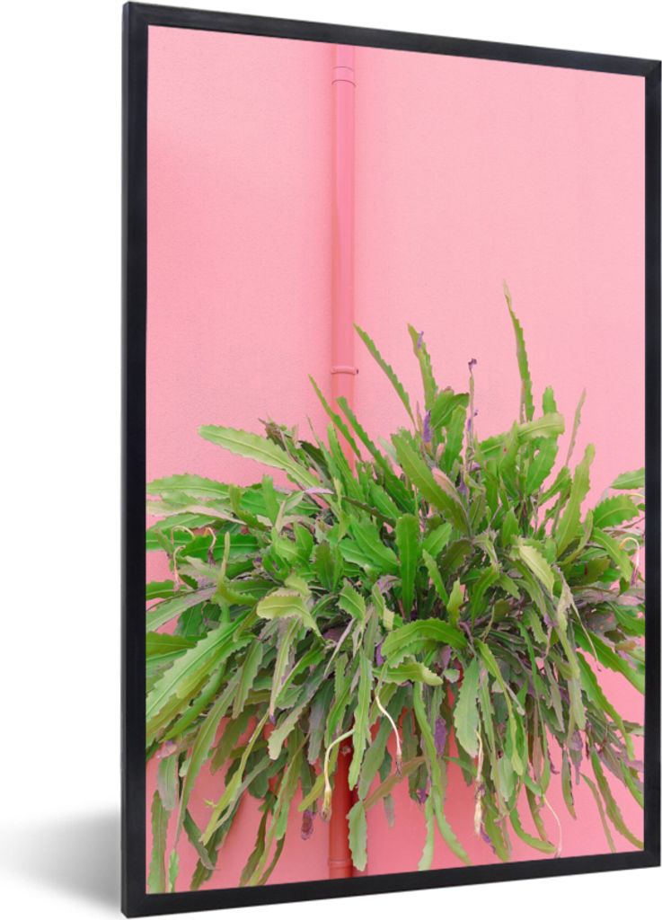 MuchoWow Gerahmtes Poster Pflanze - Sommer - Rosa 60x90 cm - Poster mit Schwarzem Bilderrahmen Wandposter Rahmen Foto Bilder - Kunst