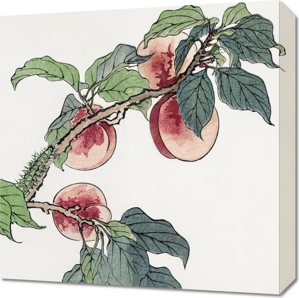 Bild 50x50cm Raupe auf Morimoto Baum Japanisch Vintage für Wohnzimmer