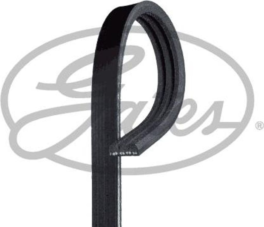 GATES 3PK815 Keilrippenriemen OE 6185652 kompatibel mit Clio, Rapid