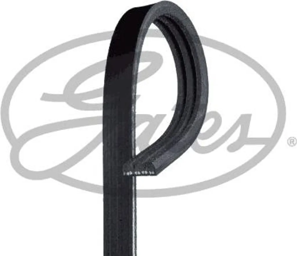 Recensione Cinghia Gates 3PK798SF Mazda: Silenzio e Potenza OE