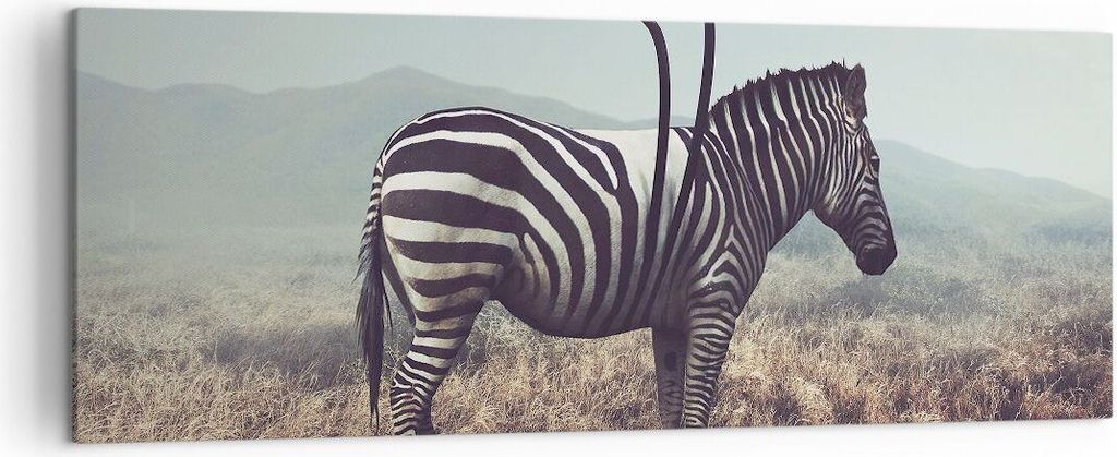 Bild auf Leinwand - Leinwandbild - Zebra Tier Wiese - 140x50cm - Wand Bild - Wanddeko - Wandbilder - Leinwanddruck - Bilder - Kunstdruck - Wanddeko...