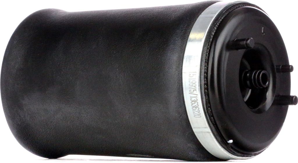 RIDEX 4119A0009 Luftfederung Luftfeder für BMW X5 (E53) Hinten Links