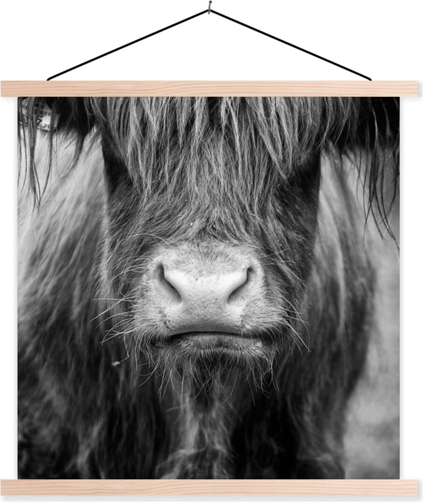 MuchoWow Textilposter Schottisches Hochlandrind - Haare - Tiere 120x120 cm mit holzfarbenen Rahmen - Textil-Poster