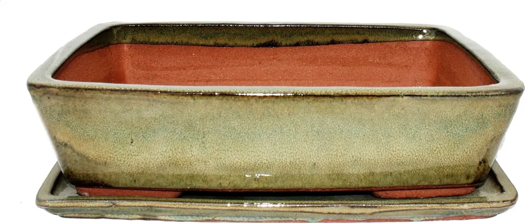 Bol Bonsaï avec Soucoupe Rectangulaire G30 Brun Olive L 32cm B 24,5cm
