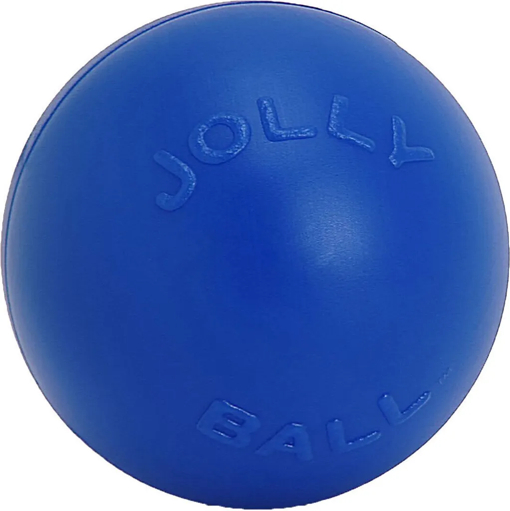 Balle de Jeu Rigide pour Grand Chien Jolly Pets Push-N-Play 25cm