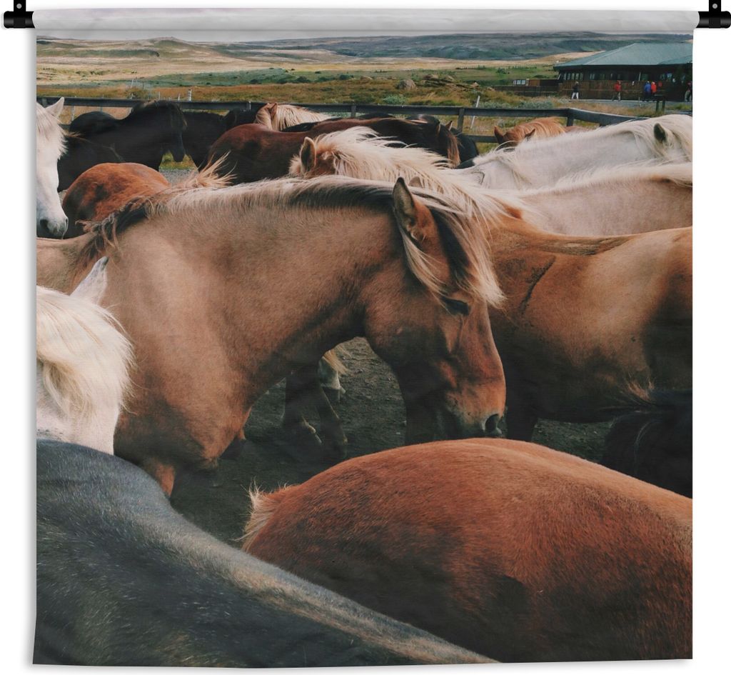 MuchoWow Wandteppich Wandbehang Pferde - Tiere - Spiel 90x90 cm Tapisserie Dekoration Wandtuch - Wandaufhänger