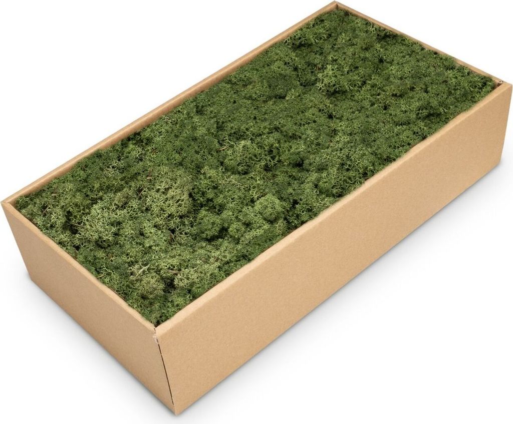 Islandmoos 500g in 30 Farben – Konserviertes Rentiermoos Produktbild 