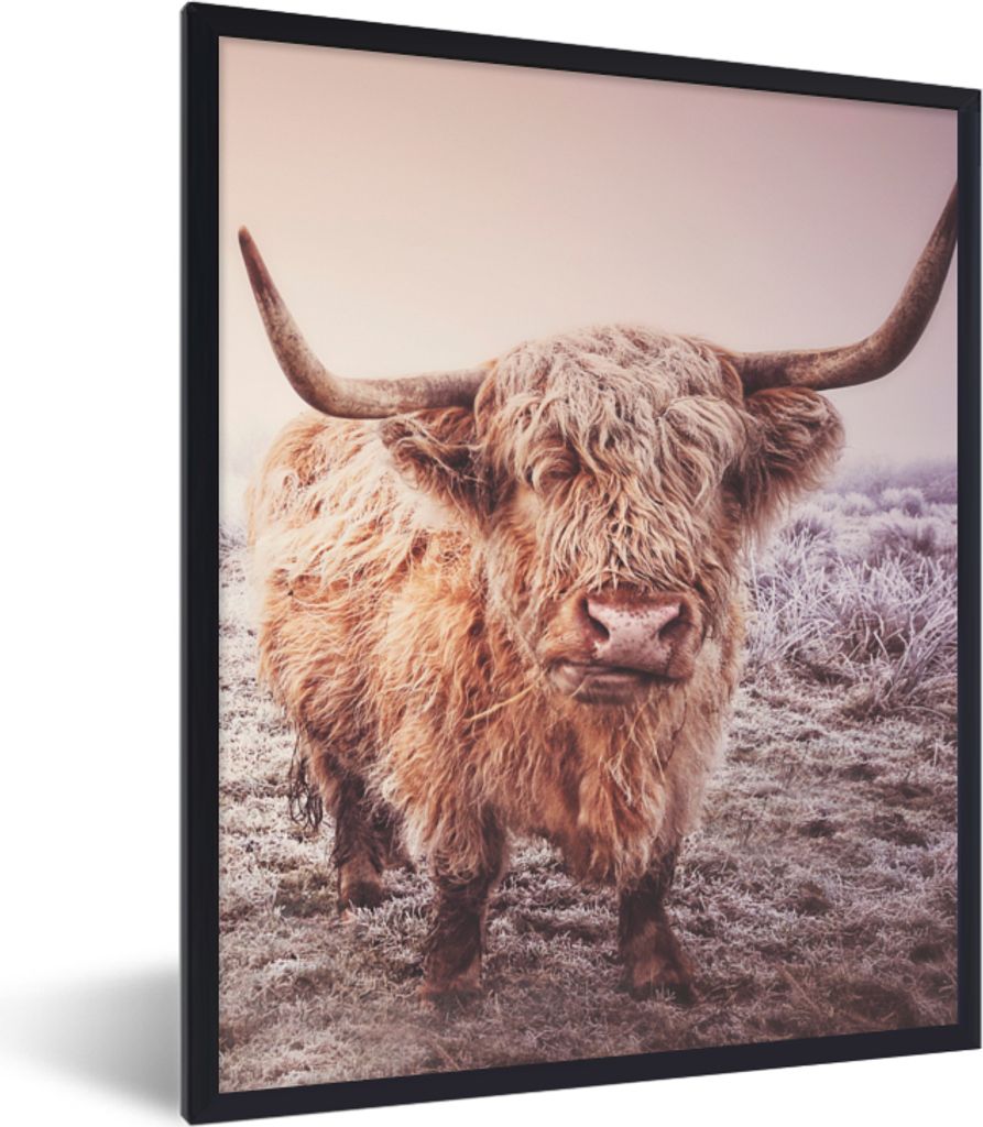MuchoWow Gerahmtes Poster Schottische Hochlandbewohner - Licht - Himmel - Natur 60x80 cm - Poster mit Schwarzem Bilderrahmen Wandposter Rahmen Fo...