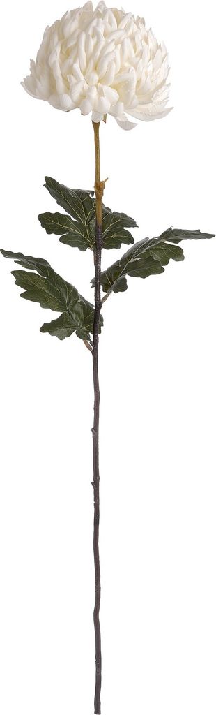 Hill Interiors - Kunstblume HI2883 (Einheitsgröße) (Naturweiß)