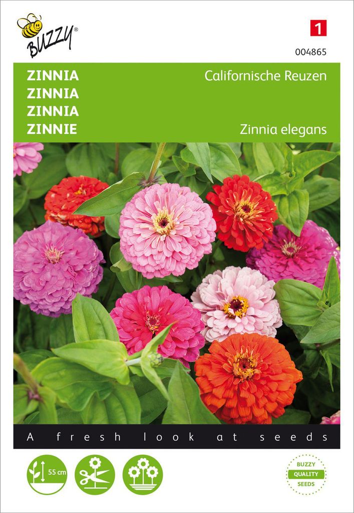Zinnie Kalifornischer Riesen Mischung | Zinniensamen von Buzzy Seeds