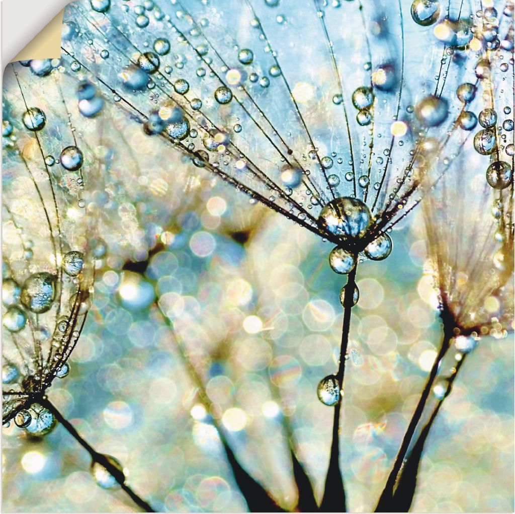 ARTland Wandbild, selbstklebend Pusteblume Blaue Diamanten Größe: 50x50 cm