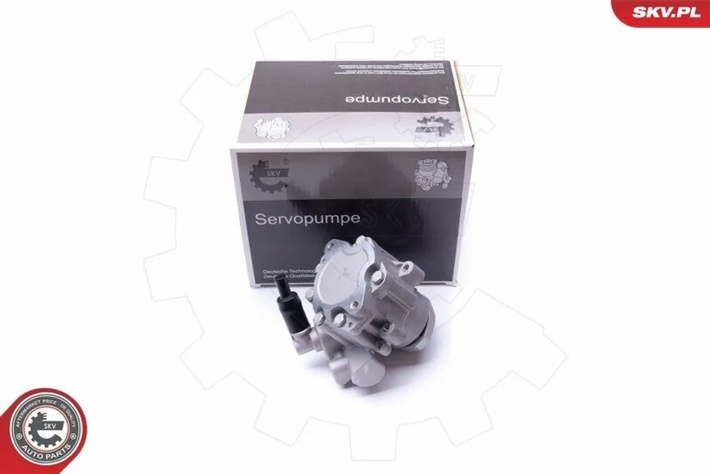 Supprimez le bruit de direction sur VW Polo 9N avec la pompe ESEN 10SKV282