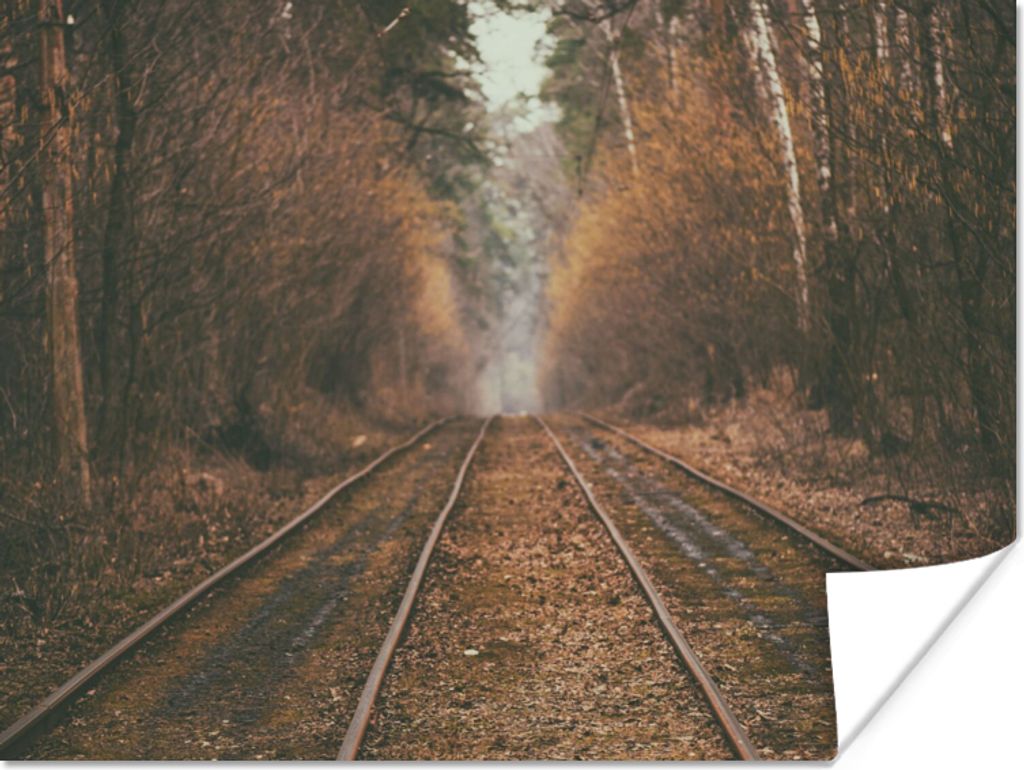 MuchoWow Poster Bahnstrecke - Weg - Wald - Baum 40x30 cm - Plakate für die Wände - Poster Wohnzimmer