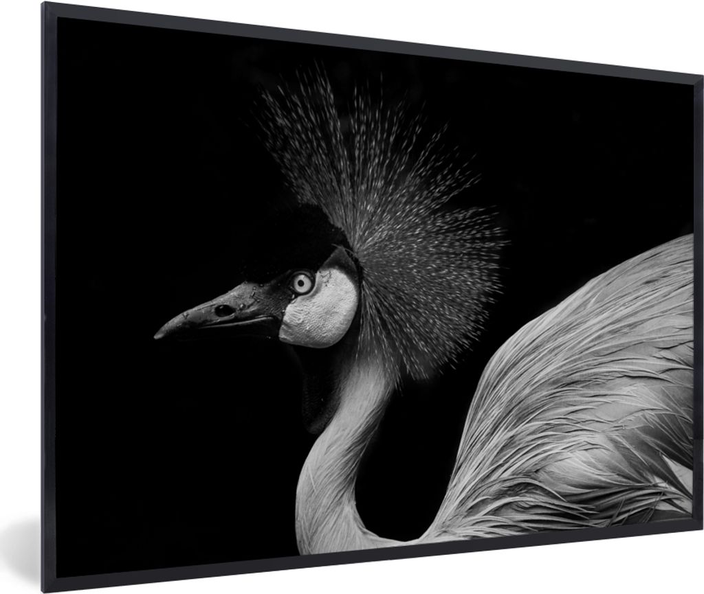 MuchoWow Gerahmtes Poster Kranich - Schwarz - Weiß - Vogel - Tiere 30x20 cm - Poster mit Schwarzem Bilderrahmen Wandposter Rahmen Foto Bilder - ...