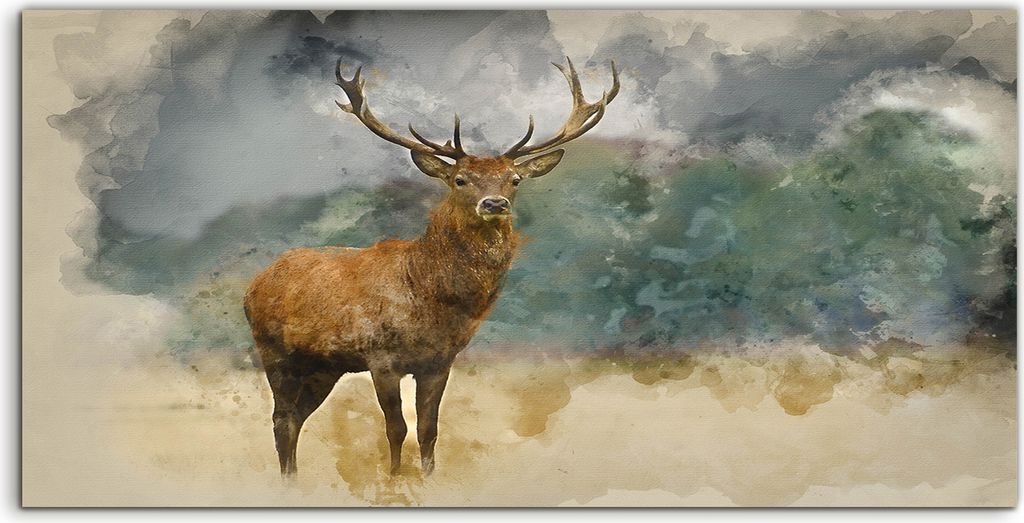 Coloray Spritzschutz aus Glas 140x70 Wandkunst Küchenrückwand Deko Jagd Buck Hirsch Malerei Hirsche