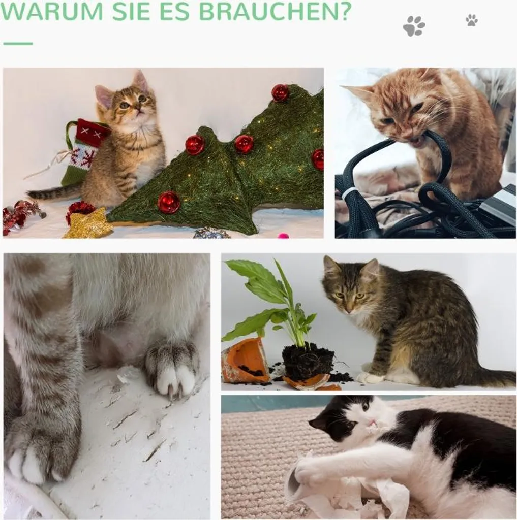 Arbre à Chat Cactus en Bois : la Solution pour Protéger vos Canapés - 6