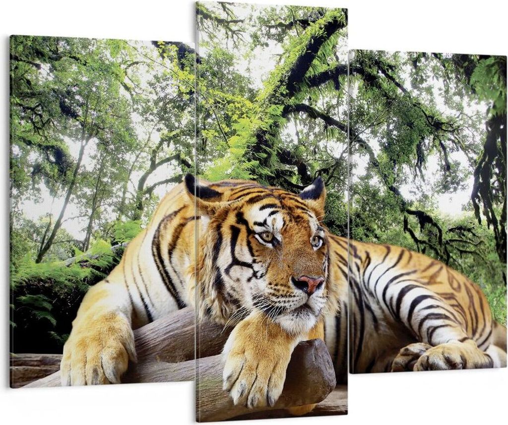 Bild auf Leinwand - Leinwandbild - 3 Teile - Tiger Dschungel Ruhe - 130x100cm - Wand Bild - Wanddeko - Wandbilder - Leinwanddruck - Bilder - Wandde...