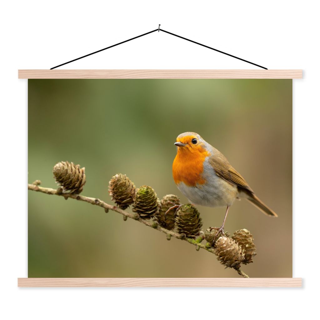 MuchoWow Textilposter Vogel - Rotkehlchen - Tannenzapfen - Zweig - Herbst 40x30 cm mit holzfarbenen Rahmen - Bilder