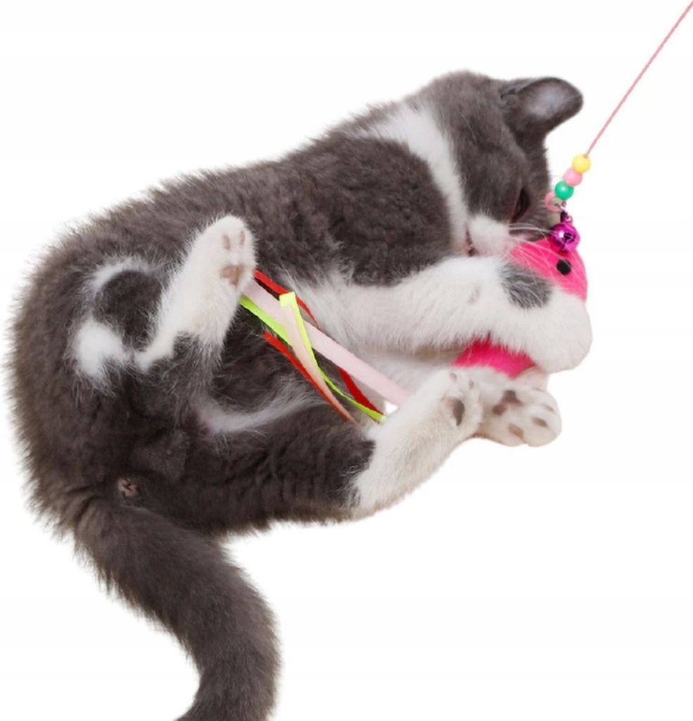 Renchey Katzenangel Mit 2 Vögeln - Spielzeug Mit Saugnapf