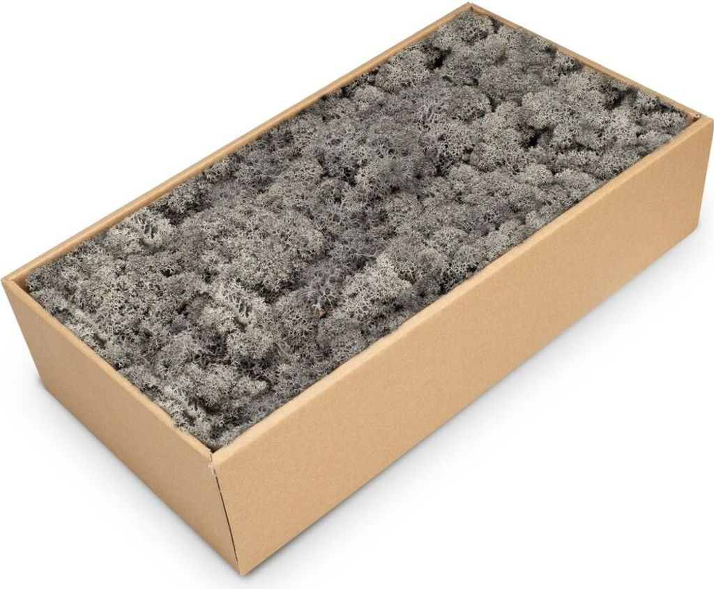 Islandmoos Anthrazit, konserviert, verpackt im Karton mit ca. 500g