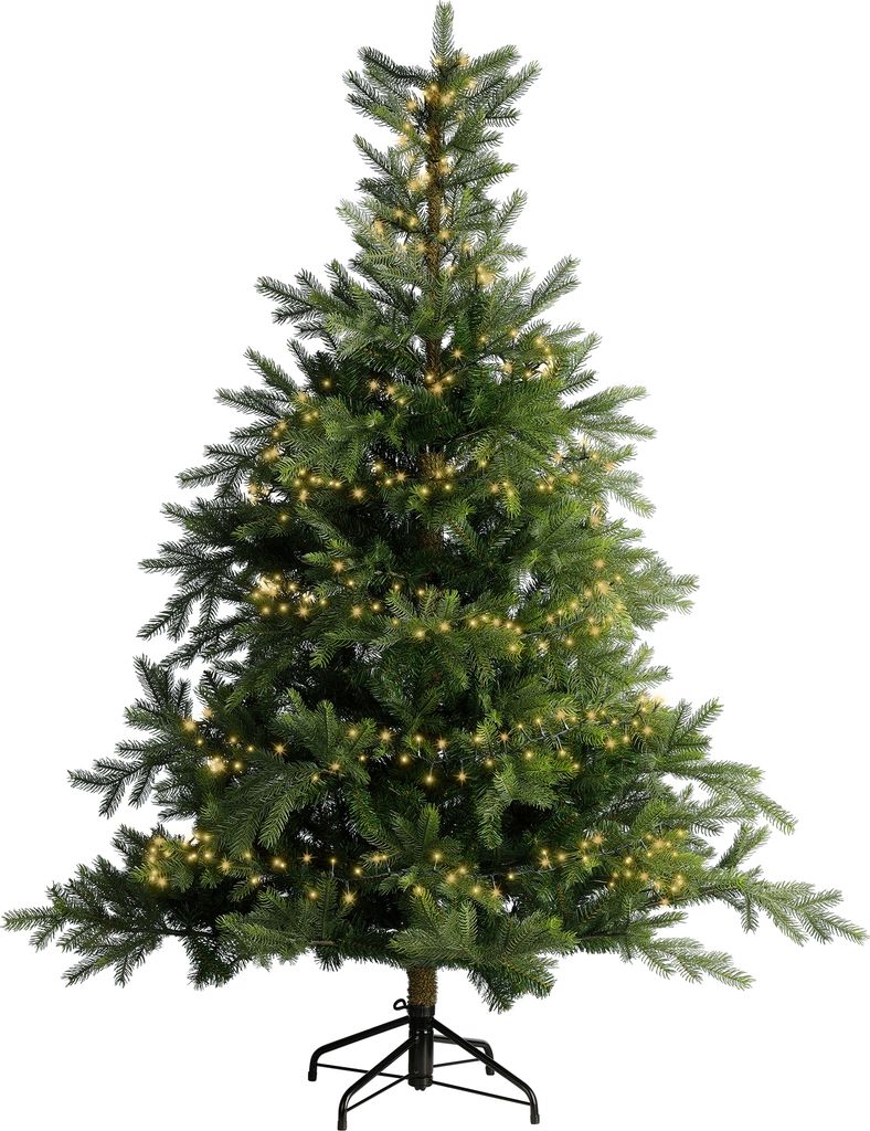 A decorated Christmas tree with lights.